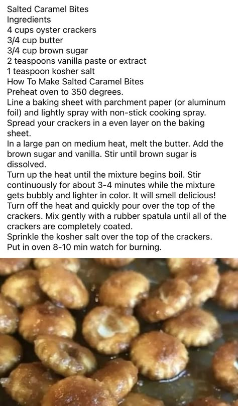 Salted Carmel Oyster Bites, Carmel Oysters Crackers, Salted Caramel Crackers, Salted Caramel Bites, Oyster Cracker Recipes, Salted Caramel Cracker Bites, Giant Sugar Cookie, Oyster Cracker Snack, Flavored Pretzels