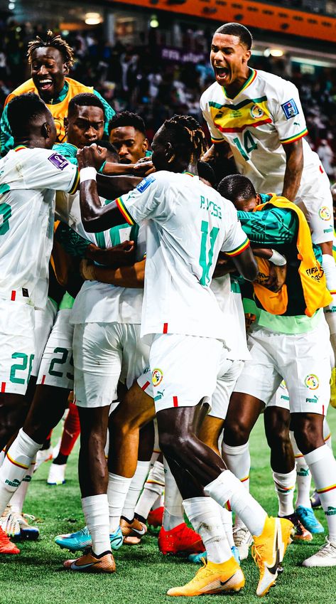 Senegal Football, Nautical Wallpaper, Football Players Images, Team Wallpaper, Black Panthers, Qatar 2022, Social Media Design Inspiration, Football Wallpaper, Fifa World Cup