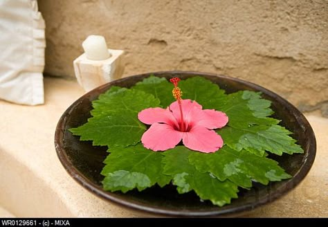 Bowl of water with flower and leaves Flower Decoration In Water Bowl, Home Flower Decor, Thali Decoration Ideas, Ganapati Decoration, Easy Rangoli Designs Diwali, Diwali Decorations At Home, Housewarming Decorations, Flower Arrangement Designs, Diy Diwali Decorations