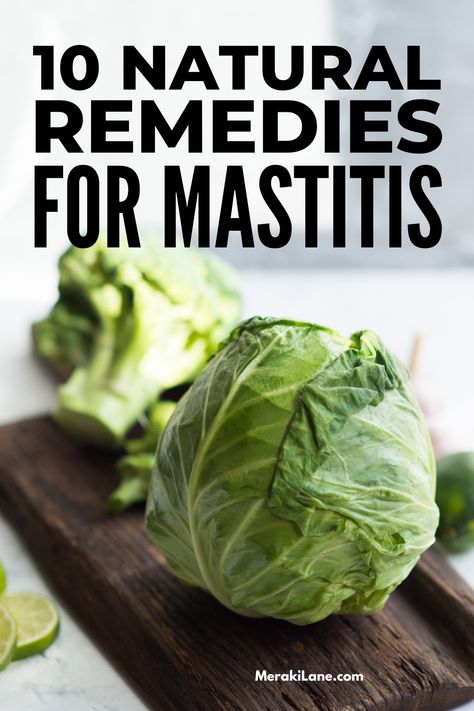 10 Natural Mastitis Remedies to Help You Feel Better Sooner How To Store Cabbage, Mastitis Remedies, Easy Sauerkraut Recipe, Types Of Cabbage, Cabbage Plant, Cabbage Seeds, Sauerkraut Recipes, Easy Vegetables To Grow, Household Expenses