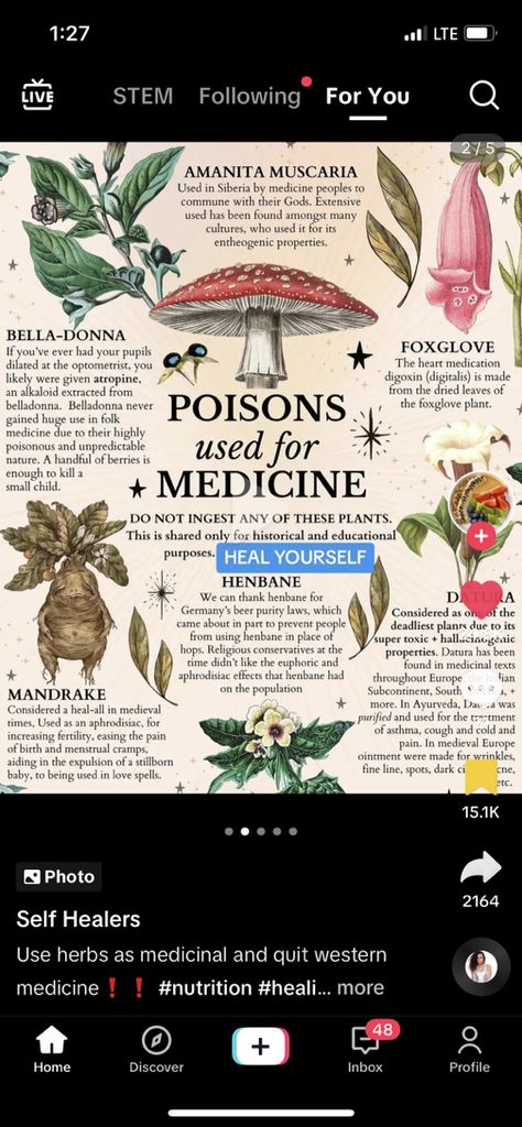 Herbalism For Beginners, Plant Remedies Herbal Medicine, Medical Garden Medicinal Plants, History Of Herbal Medicine, Foxglove Plant, Abortive Herbs, Best Herbalism Books, Herbal Medicine Recipes, Herbal Education