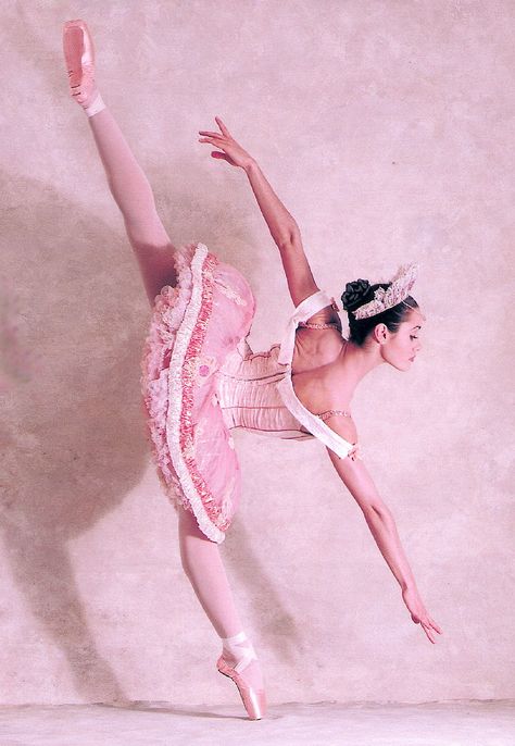 Ballet Beauty, Love Dance, Ballet Photos, Ballerina Girl, Classical Ballet, Ballet Photography, Pink Ballerina, Ballet Beautiful, Ballet Tutu