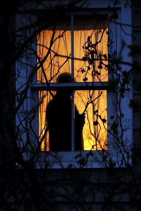 Creepy Window, Diy Halloween Window Decorations, Halloween Window Silhouettes, Window Silhouette, Halloween Scenes, Window Shadow, Halloween Window, Halloween Silhouettes, Halloween Scene