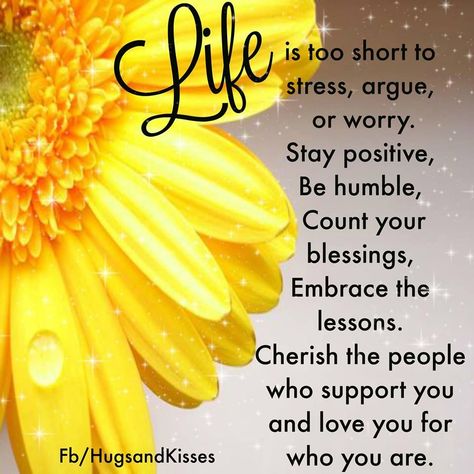 Image Of Flowers Beautiful, Quotes With Flowers Inspirational, May 23 Quotes, Life Is Too Short To Argue Quotes, Quoted On Life Lessons Positivity Short, Life Is Short Quotes Inspiration, Sunflower Quotes Inspirational, Life Is Short Quotes, Lessons Quotes