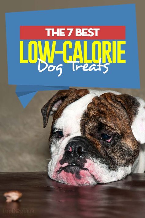 Low Calorie Treats For Dogs, Low Cal Dog Treats, Low Calorie Dog Treats Homemade, Low Fat Dog Treats Homemade, Low Calorie Dog Food, Low Calorie Dog Treats, Dog Treats For Training, Low Fat Dog Treats, Dog Bday