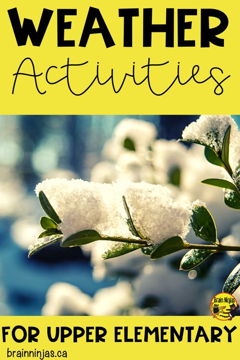 Weather Activities Elementary, 3rd Grade Weather Activities, Weather Activities 3rd Grade, Weather Experiments Elementary, Weather And Climate 3rd Grade, Weather And Climate Activities, Climate Activities, Weather Lesson Plans, Weather Unit Study