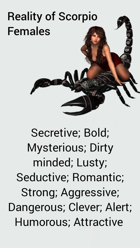 Scorpion Sign, Scorpio Moon Sign, Horoscope Signs Scorpio, Zodiac Mind Scorpio, Scorpio Zodiac Tattoos, Scorpio Queen, Scorpio Personality, All About Scorpio, Zodiac Quotes Scorpio