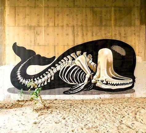 One Word Art, Sperm Whale, Whale Art, Graffiti Murals, Graffiti Characters, Murals Street Art, Street Art Graffiti, Mural Art, Graffiti Art