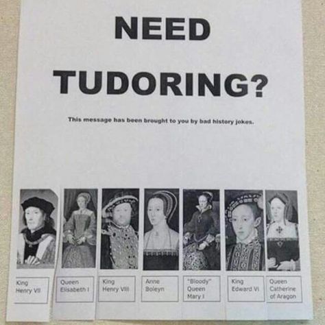 Tudor! History Puns, Historical Humor, History Jokes, History Teacher, History Nerd, Nerd Humor, History Humor, History Teachers, Collage Wall