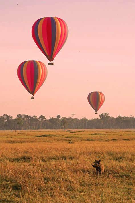 Champagne Breakfast, Safari Holiday, Hot Air Balloon Ride, Balloons Photography, Namibia Africa, Africa Tour, Kenya Safari, Africa Do Sul, Hot Air Balloon Rides