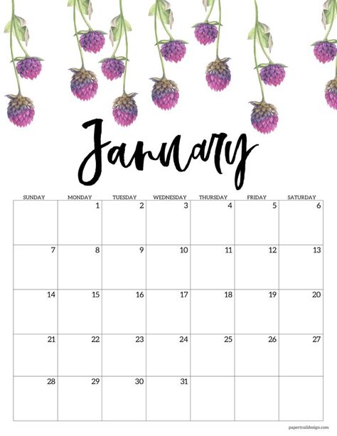 January 2024 floral calendar page to print for free and save money while staying organized Paper Trail Design, Graphic Design Magazine, Free Printable Calendar Templates, Flower Calendar, Printable Calendar 2020, Monthly Printable, Free Calendar Template, To Do Planner, Trail Design