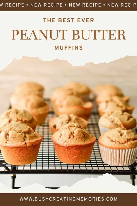 Peanut Butter Blueberry Muffins, Healthy Moist Muffins, Healthy Peanut Butter Muffin Recipes, Peanut Butter Chip Muffins, Protein Muffins Peanut Butter, Peanut Butter Powder Muffins, Muffin Recipes Peanut Butter, Gluten Free Peanut Butter Muffins, Banana And Peanut Butter Muffins