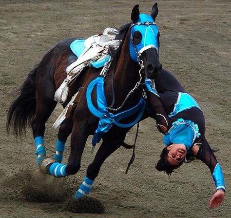 Trick riding Trick Riding Aesthetic, Horse Vaulting, Rodeo Time, Rodeo Girls, Trick Riding, Rodeo Cowboys, Equestrian Events, Cowgirl And Horse, Rodeo Life