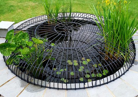 Pond Covers, Fish Pond Gardens, Cushion Designs, Diy Pool, School Garden, Outside Living, Garden Pond, Cover Ideas, Garden Landscape Design