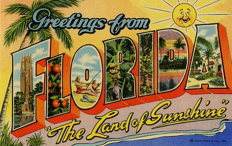 First place out of Texas w my man. Got a magnet just like this on my frig.... Florida Postcard, Vintage Postcards Travel, Postal Vintage, What A Wonderful World, Travel Postcard, Hotel California, Big Letters, Old Florida, Vintage Florida