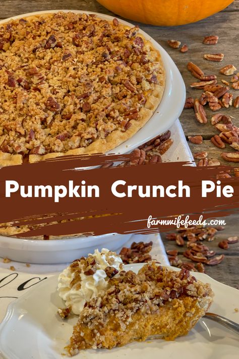 Pumpkin Pie With Crunch Topping, Pumpkin Pie With Walnut Topping, Pumpkin Pie With Nut Topping, Pumpkin Crunch Pie Recipe, Pumpkin Pie With Strudel Topping, Pumpkin Pie With Coconut Cream, Pumpkin Pie With Topping, Pumpkin Crunch Pie, Toppings For Pumpkin Pie