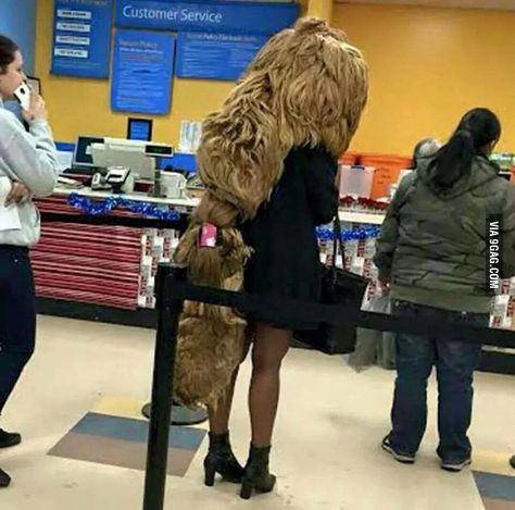 Funny Walmart People, Funny Walmart Pictures, Walmart Pictures, Walmart Funny, Funny People Pictures, Walmart Fashion, Pictures Of People, Crazy People, Funny People