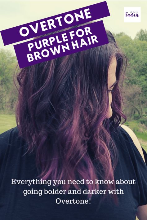 Purple Overtone On Brown Hair, Dark Lavender Hair Color, Overtone Purple On Brown Hair, Subtle Purple Highlights In Brown Hair, Subtle Purple Hair Brunettes, Purple Tinted Brown Hair, Lavender Balayage Brunette, Brunette Purple Hair, Subtle Purple Hair