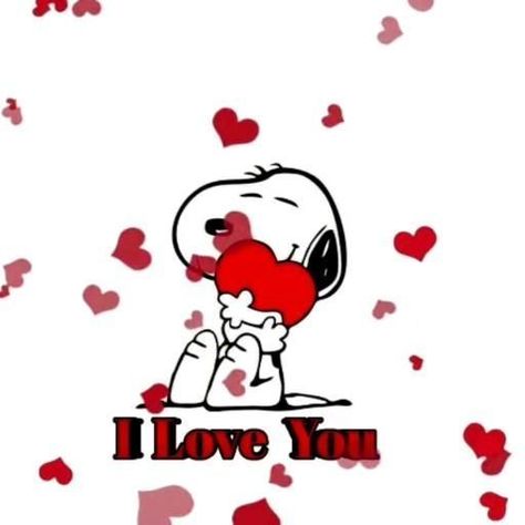 I Love You Video, Good Morning Puppy, Gif Emoji, I Love You Animation, Happy Birthday Wishes Photos, I Love You Images, I Love You Gif, Snoopy Funny, Emoji Love