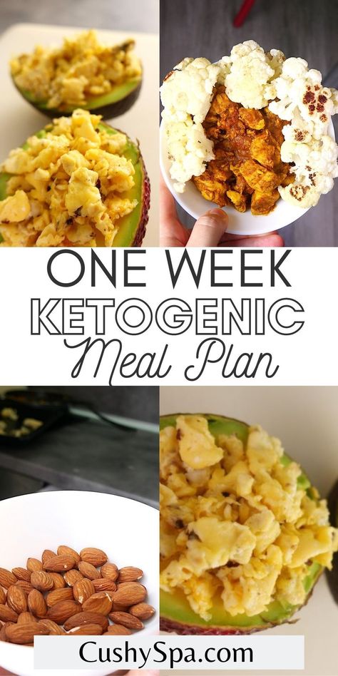 Following a ketogenic diet meal plan can help you follow a ketogenic diet easier to help you stay in ketosis. This low-carb keto meal plan can help you easily eat healthy low carb foods to help you lose weight faster. Ketosis Guide Recipes, 7 Day Keto Meal Plan, Low Carb Foods, Ketogenic Meal Plan, Cabbage And Bacon, Ketogenic Diet Meal Plan, Keto Diet Food List, Carb Foods, Vegetarian Keto