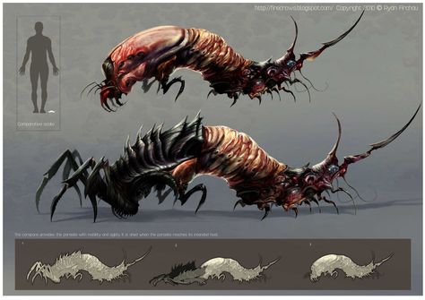 Parasite design, Ryan Firchau on ArtStation at https://www.artstation.com/artwork/dxw3x Beast Creature, Cool Monsters, Horror Monsters, Alien Concept Art, Monster Concept Art, Alien Creatures, Concept Art Character, Fantasy Monster, Creature Feature