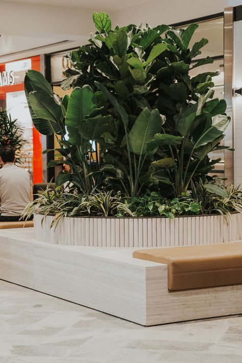 The @westfieldknox redevelopment has recently been completed and we are thrilled to have supplied loose furniture + waste bins, as well as high-end custom joinery pieces featuring classic travertine vein cut slabs, solid timber dowel cladding, luxury leather upholstery and integrated charge points!⁠ ⁠ View the full project on our website.⁠ Hospital Landscape, Timber Planters, Warehouse Interior, Vein Cut, Cafe Display, Interior Design Plants, Planter Bench, Custom Planters, Planting Pots