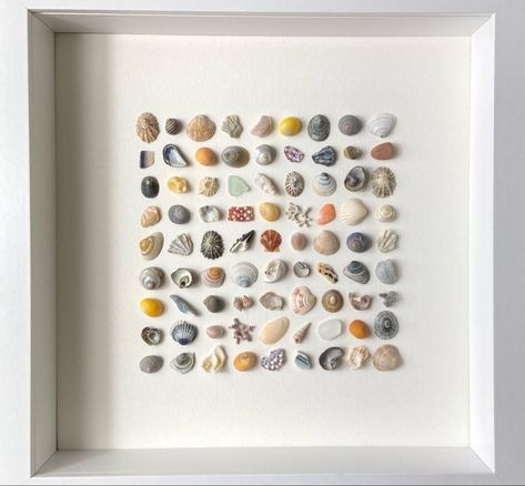 Mini Sea Shell Crafts, Seashell Art Diy, Tiny Shells, Shell Display, Art Coquillage, Seashell Wall Art, Shell Crafts Diy, Shell Frame, Sea Glass Crafts