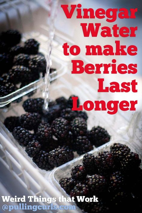 Use vinegar to rinse berries to help them last longer {wierd things that work}. Storing Fruit, Food Info, Fruit Recipes, Baking Tips, Cooking Kitchen, Fruits And Veggies, Food Hacks, Cooking Tips, Cooking And Baking