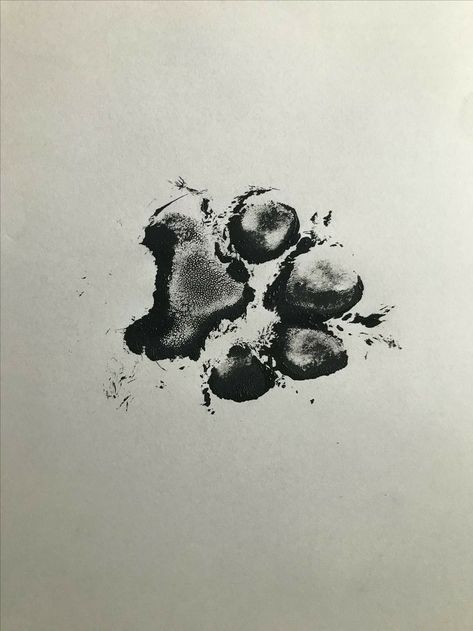 Dog Pawprint Tattoo Ideas, Paw Dog Tattoo, Wolf Paw Tattoo, Dog Paw Tattoo Ideas, Cat Paw Tattoo, Paw Tattoo Ideas, Paw Print Tattoo Dog, Wolf Paw Tattoos, Dragons Tattoo