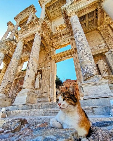 Ephesus Ancient City, Ephesus Turkey, Visit Turkey, Ancient City, Ancient Architecture, Ancient Greece, Wanderlust Travel, Greece Travel, Ancient Cities