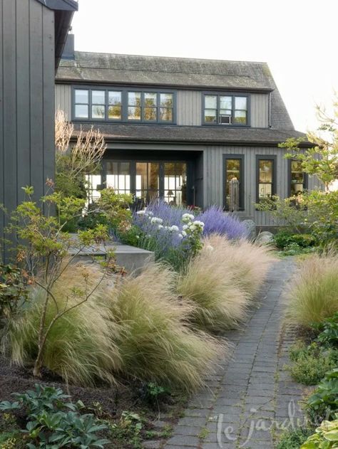 Short Ornamental Grasses, Modern Garden Landscaping, Landscaping Shrubs, Rose Garden Landscape, Modern Garden Lighting, Grasses Landscaping, Front Landscaping, Modern Garden Design, Landscape Design Plans