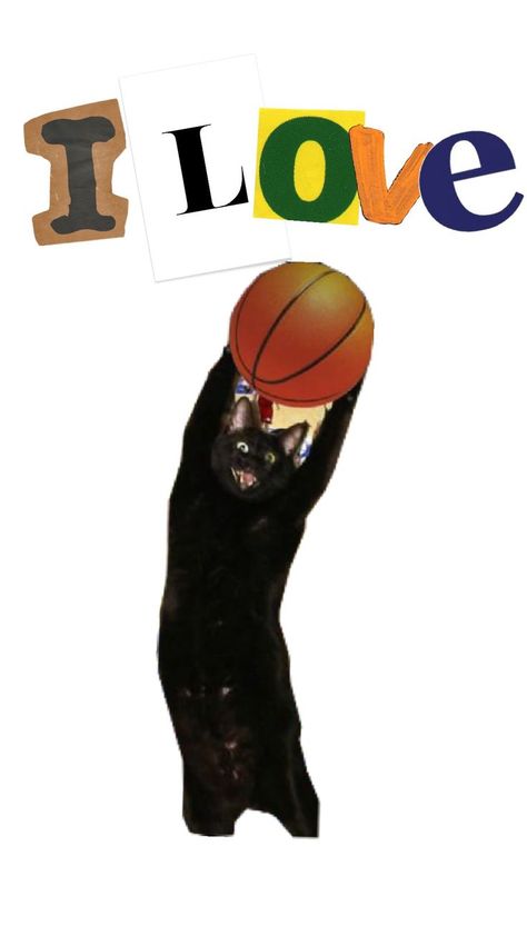 Cats Playing, I Love Cats, Playing Basketball, Cat Playing, Basketball, I Love