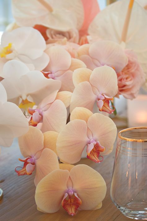 Peach & Cream Wedding Boutique Orchid Flower Arrangements Wedding, Centrepiece Flowers, Peach Orchid, Orchid Ideas, Wedding Shoot Ideas, Orchid Flower Arrangements, Textile Collage, Bahamas Wedding, Orchid Centerpieces