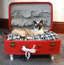 Chat Diy, Diy Cat Bed, Diy Suitcase, Dog House Bed, Diy Dog Bed, Old Suitcases, Diy Bebe, Vintage Suitcases, Vintage Suitcase