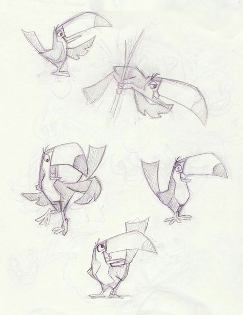 Toucan Character Design, Forest Lights, Sheridan Animation, Bird Reference, Animal Studies, Illustration Reference, Drawing Help, Caracter Design, Cartoon Birds