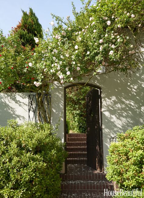 Garden Bohemian Patio, Bohemian Garden, Garden Vines, Climbing Roses, Garden Borders, Spanish Colonial, Cool Landscapes, Colonial House, Balboa