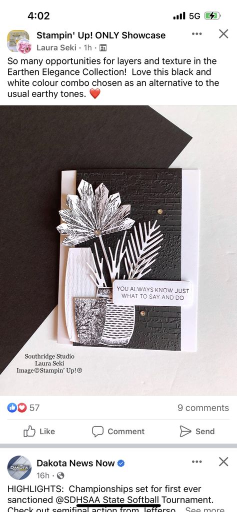 Vase Cards, Earthen Elegance, Earthen Textures, Cards Black And White, Catherine Pooler, Card Magic, Cards Flowers, White Cards, Stampin Up Catalog