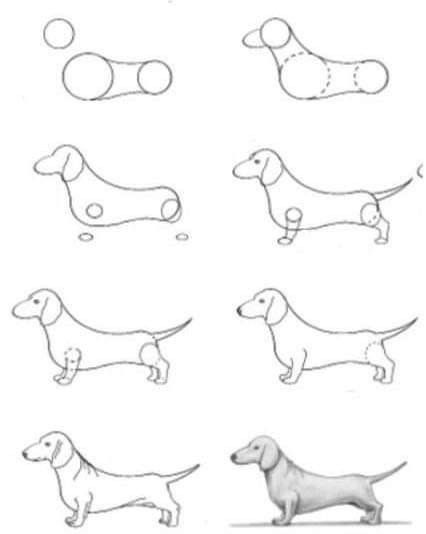 Cute Dog Doodles, Dog Sketch Easy, Dog Paw Drawing, Dog Doodles, Dog Sketches, Dachshund Drawing, Draw Dogs, Dachshund Painting, Dog Drawing Tutorial