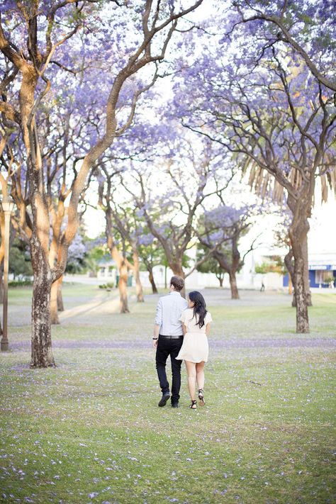 purple jacaranda trees. Jakaranda Photoshoot, Jacaranda Trees, Jacaranda Tree, Date Photo, Model Shoot, Save The Date Photos, Photo Tree, Tie The Knots, The Purple