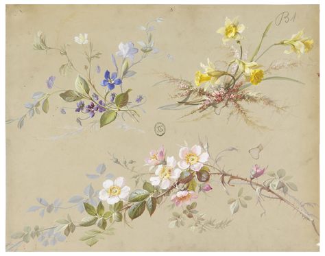 Branches with blue flowers, yellow daffodils, and magnolia blossoms against light gray ground. Design For Wallpaper, Textile Flowers, Name Drawings, Floral Room, Yellow Daffodils, For Wallpaper, Smithsonian Institution, Diy Resin Crafts, Vintage Wall Decor