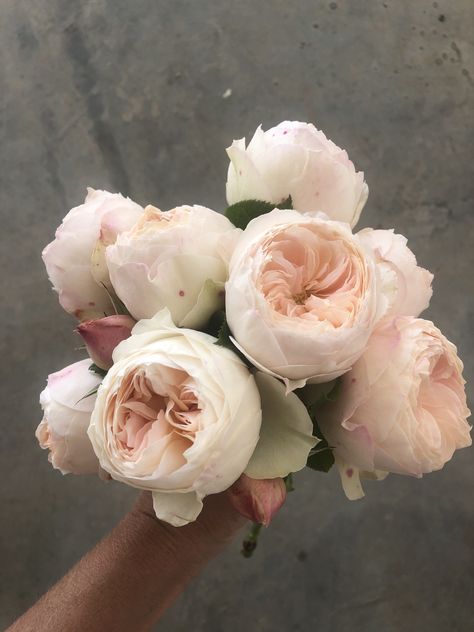 English Garden Rose Bouquet, Garden Rose Wedding Bouquet, English Rose Bouquet, Garden Roses Bouquet, Garden Rose Bouquet Wedding, Romantic Gardens, Garden Rose Bouquet, Emma Woodhouse, Rose Wedding Bouquet