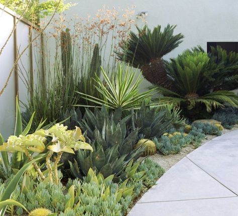 Contemporary Garden Design, Drought Tolerant Garden, Succulent Landscaping, Dry Garden, Landscape Designs, Contemporary Garden, Garden Care, Garden Spaces, Small Gardens