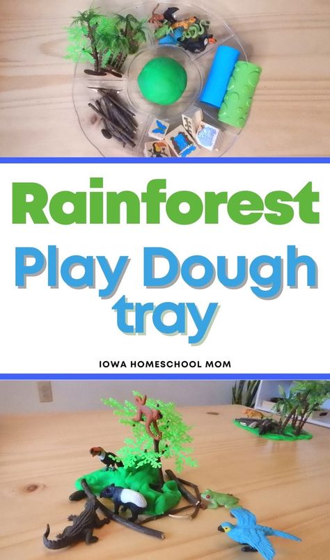 Rainforest Sensory Activities, Rain Forest Preschool Activities, Rainforest Dramatic Play Preschool, Rainforest Stem Activities, Preschool Rainforest Activities, Habitat Activities Preschool, Rainforest Activities For Toddlers, Rainforest Activities Preschool, Rainforest Sensory Bin