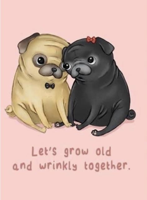 Pet Quotes Cat, Black Pugs, Grow Old Together, Pug Photos, Cute Pug Puppies, Card Valentines Day, Pug Dogs, Pugs And Kisses, Pug Art