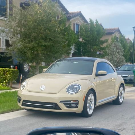 #dreamcar #buggy #volkswagen Punch Buggy Car, Buggy Convertible, Buggy Volkswagen, Volkswagen Buggy, Punch Buggy, Red Beetle, Red Punch, Buggy Car, Volkswagen Beetles