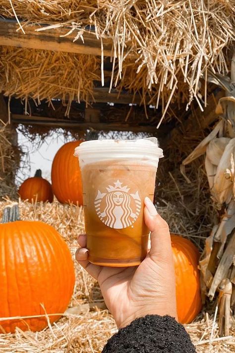 Starbucks Keto Pumpkin Cream Cold Brew Drink Keto Starbucks Drinks, Pumpkin Drink, Pumpkin Cream Cold Brew, Pumpkin Spice Drinks, Cream Cold Brew, Keto Coffee Recipe, Cold Brew Recipe, Pumpkin Drinks, Starbucks Pumpkin Spice