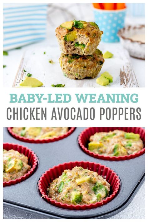 Baby-Led Weaning Chicken Avocado Poppers Finger Food For Toddlers, Food For Toddlers, Healthy School Lunch, Toddler Finger Foods, Extra Protein, Baby Led Weaning Recipes, Weaning Recipes, Baby Finger Foods, Healthy School