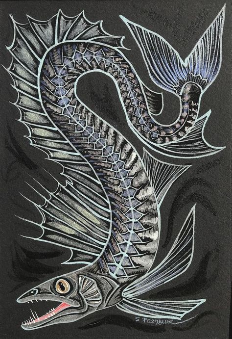 Lancet Fish, Deep Sea Creatures Art, Deepwater Fish, Scary Mermaid, Scary Fish, Sea Monsters Drawing, Mythical Sea Creatures, Sea Creatures Drawing, Sea Creatures Art