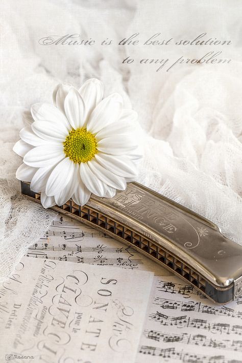 Old harmonic | Flickr - Photo Sharing! Harmonica Lessons, Music Doodle, Magical Dorémi, Raindrops And Roses, Belen Rodriguez, Daisy Girl, Field Of Dreams, Bagpipes, Music Photo