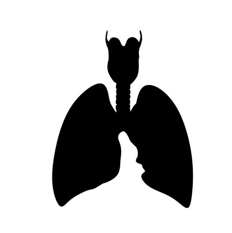 download free images and Illustrations : Illustration of lung organ silhouette Free Illustration, Lungs, Download Free Images, Free Illustrations, Free Graphic Design, Free Images, Human Silhouette, Vector Images, Graphic Design